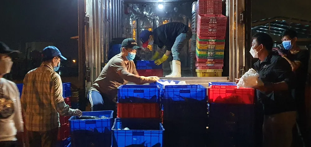 Xuyên đêm lấy mẫu xét nghiệm SARS-CoV-2 tại Cảng cá Thọ Quang ảnh 6