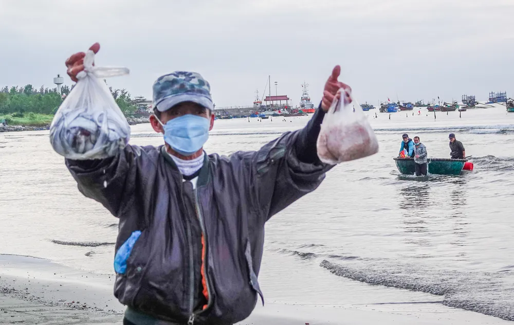 Nhộn nhịp đầu năm với mùa ruốc biển  ảnh 9