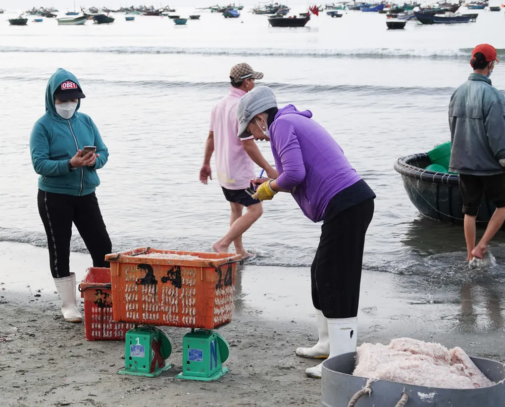 Nhộn nhịp đầu năm với mùa ruốc biển  ảnh 5