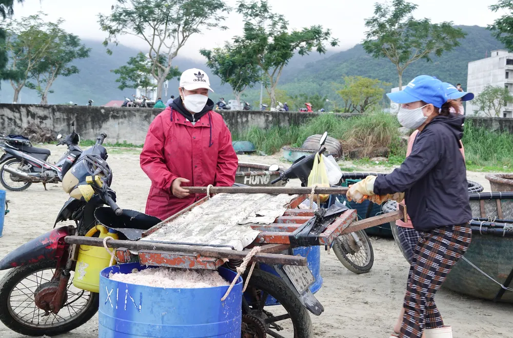 Nhộn nhịp đầu năm với mùa ruốc biển  ảnh 8