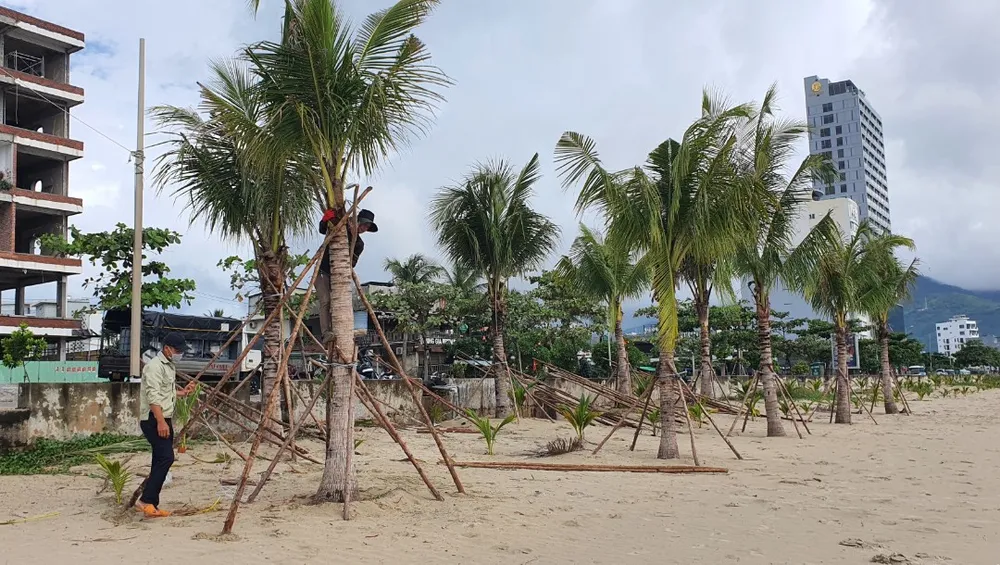 Lực lượng chức năng và người dân chủ động phòng chống bão Noru ảnh 8