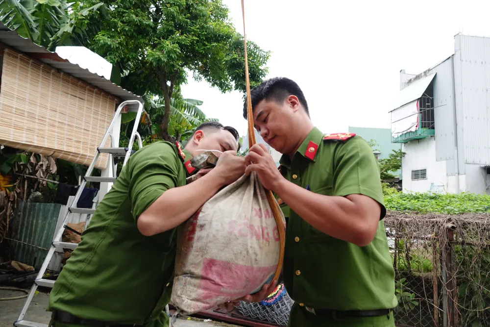 Đà Nẵng cấp tập chằng chống nhà cửa chạy bão số 4 ảnh 4