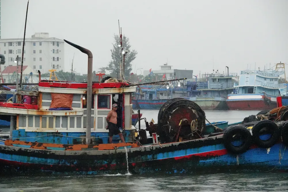 Công an Đà Nẵng vận động người dân đến nơi trú bão an toàn ảnh 1