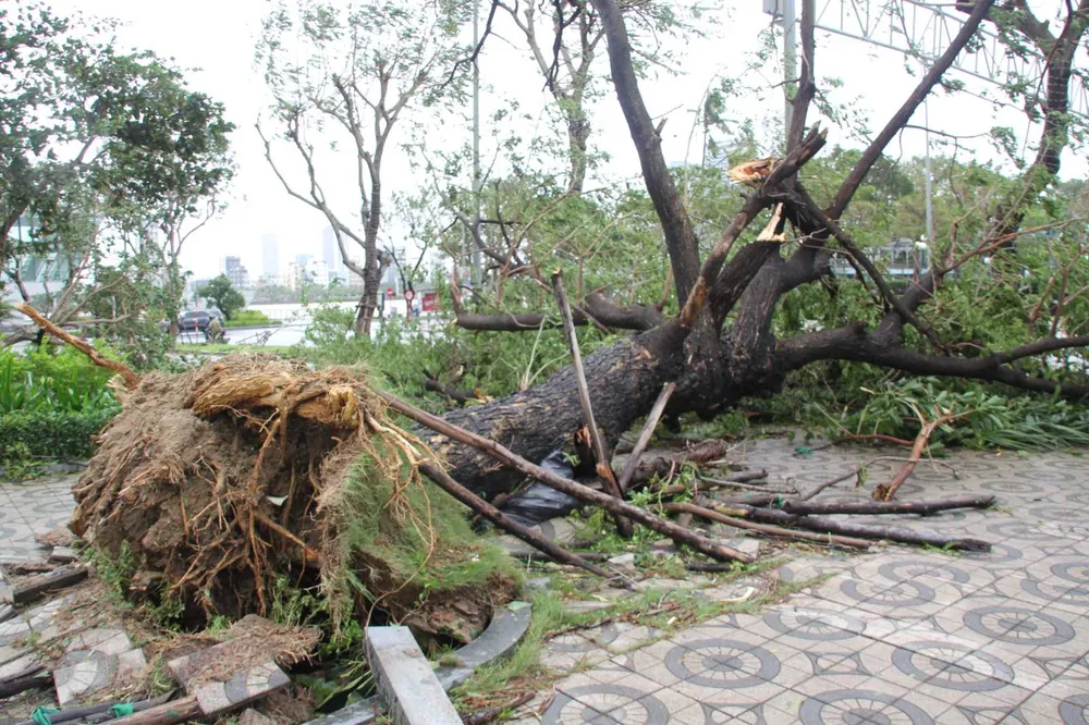 Miền Trung ngổn ngang sau bão số 4 ảnh 16