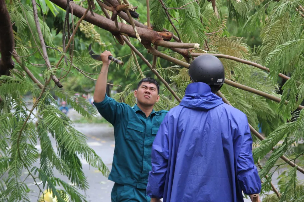 Miền Trung ngổn ngang sau bão số 4 ảnh 17