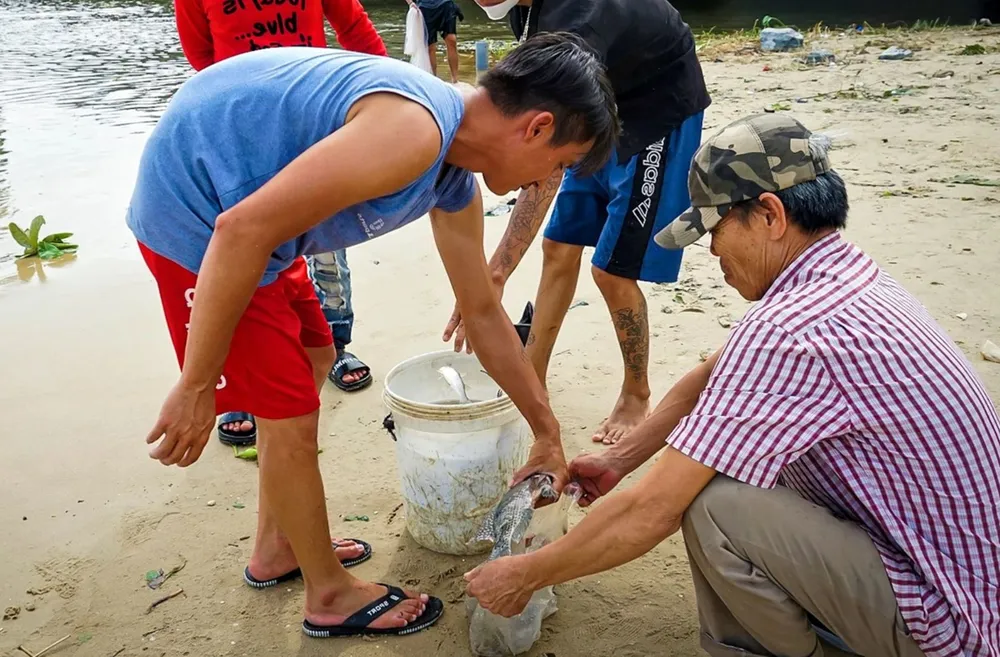 “Săn” cá sau bão số 4 ảnh 8