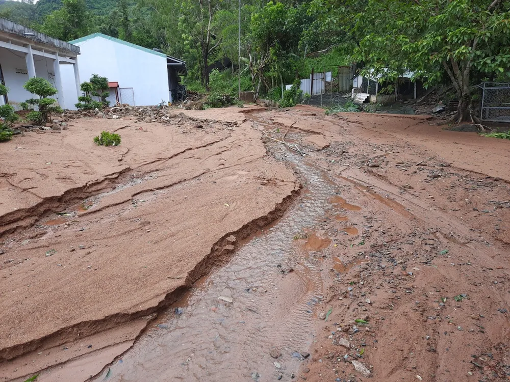 Tuyến đường dẫn lên bán đảo Sơn Trà bị sạt lở, chia cắt hoàn toàn ảnh 6
