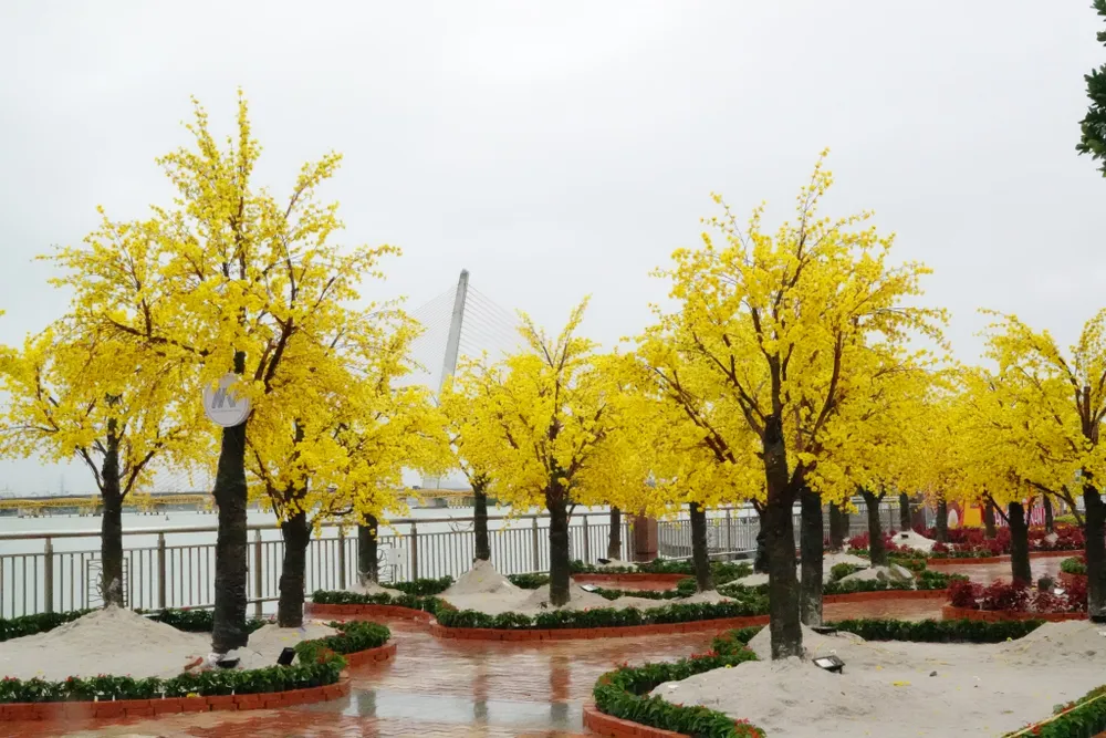 Hàng hoa đào kết hợp mô hình những mái nhà chồ xưa cũ và các bức tranh nghệ thuật theo khung cánh cửa thể hiện sự chuyển động, phát triển, hướng đến tương lai của TP Đà Nẵng