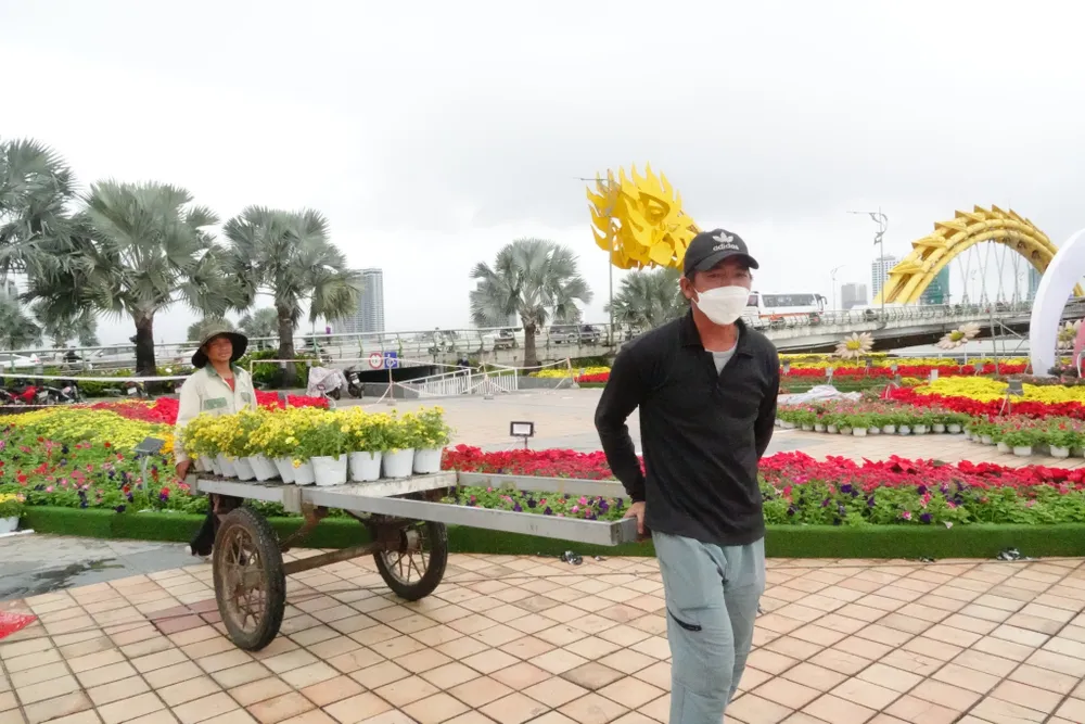 Những ngày qua, các công nhân đang tất bật trang trí, hoàn thiện đường hoa Bạch Đằng để phục vụ người dân và du khách vui xuân