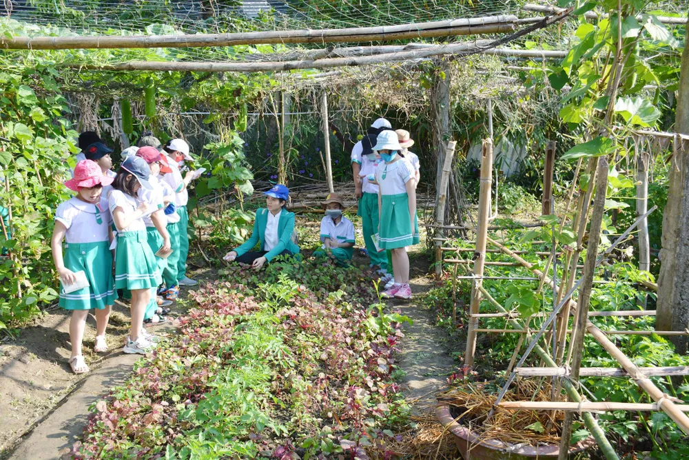 Một số trường học thực hành ngay tại vườn trường