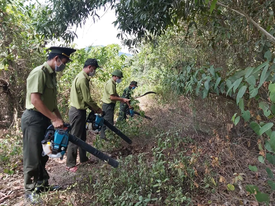 Lực lượng kiểm lâm huyện Hoà Vang dùng máy thổi gió hút thực bì hạn chế cháy rừng xảy ra Lực lượng kiểm lâm huyện Hoà Vang dùng máy thổi gió hút thực bì hạn chế cháy rừng xảy ra