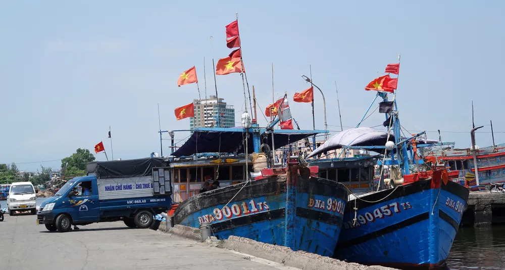 Đa dạng các hoạt động đánh bắt, chế biến, đẩy mạnh xuất khẩu thủy sản. Ảnh: XUÂN QUỲNH