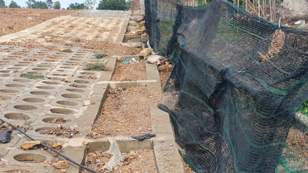 Mương thoát nước của taluy đầy bùn đất. Ảnh: XUÂN QUỲNH