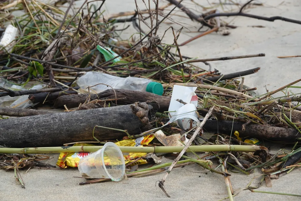 Rác thải đa phần là các cành cây khô, chai nhựa, lon nước, hộp xốp.... nằm la liệt dọc đường bờ biển dài. Ảnh: XUÂN QUỲNH