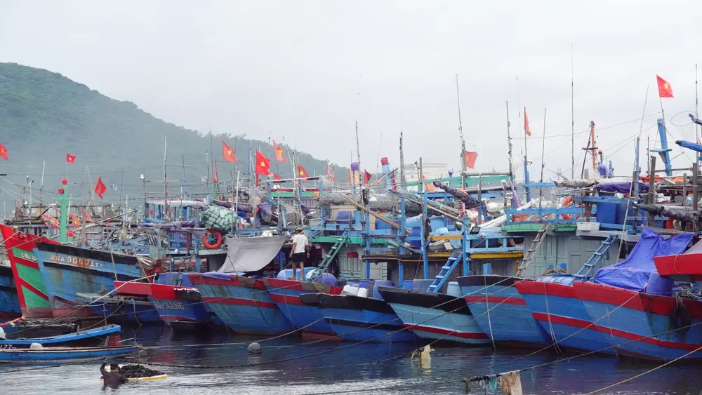 Các thuyền viên kiểm tra dây chằng trước khi rời tàu. Ảnh: XUÂN QUỲNH