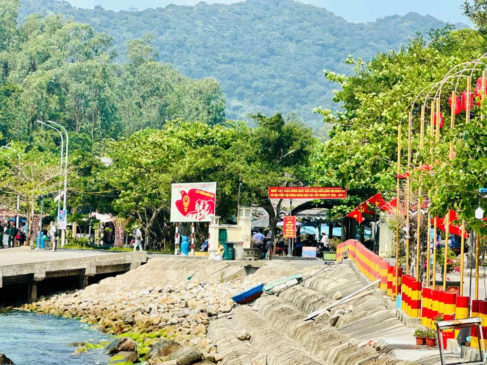 Xa dao Tan Hiep (TP Da Nang) (7).jpg