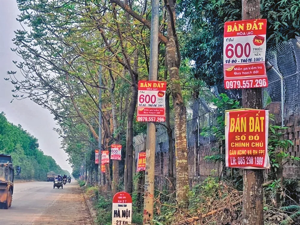 HoREA đề xuất đánh thuế cao người sở hữu nhiều nhà đất để trị sốt đất! ảnh 1