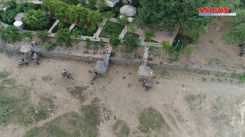 Đi Bản Đôn gặp chú voi con!