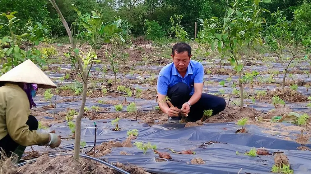 Qua vùng “chảo lửa” - Bài 2: Sinh tồn trong khô hạn ảnh 1