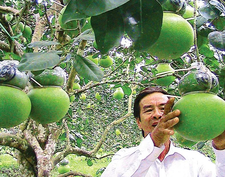 Hậu Giang - quen mà lạ ảnh 2