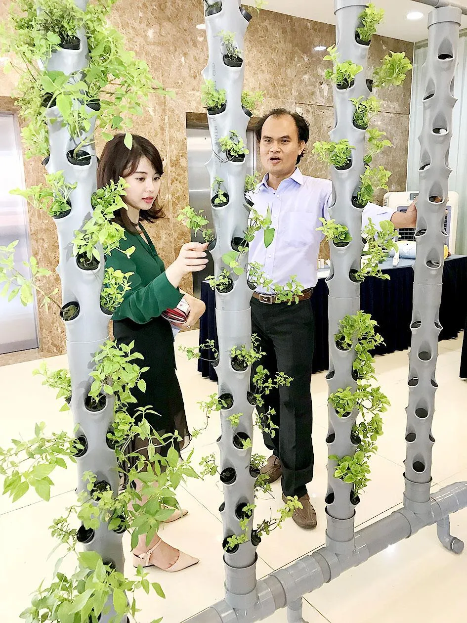 Khởi nghiệp từ nhu cầu thị trường  ảnh 1