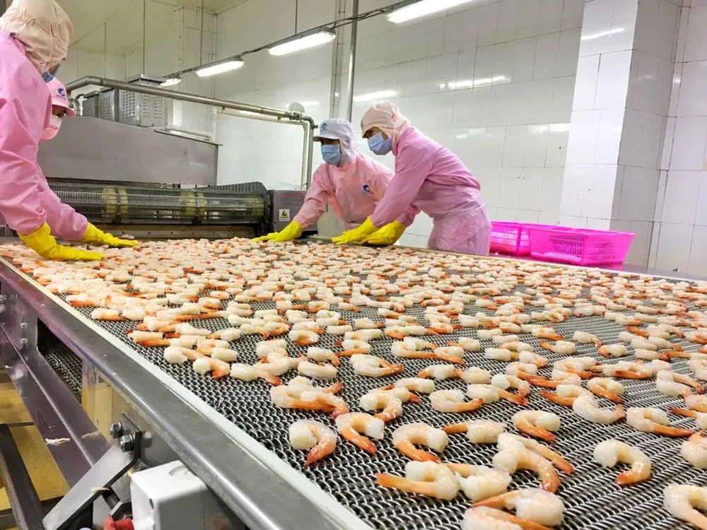 Xuất khẩu Thuỷ Sản Minh Phú đưa Tôm Việt vươn ra thế giới ảnh 1