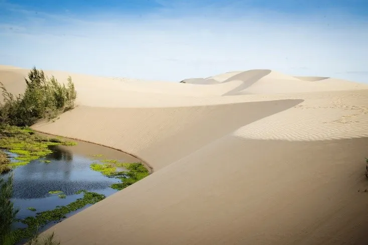 Bình Thuận tập trung nhiều lợi thế thu hút đầu tư ảnh 2