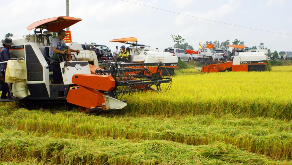 Đầu tư công nghệ tạo đột phá cho hạt gạo ảnh 1