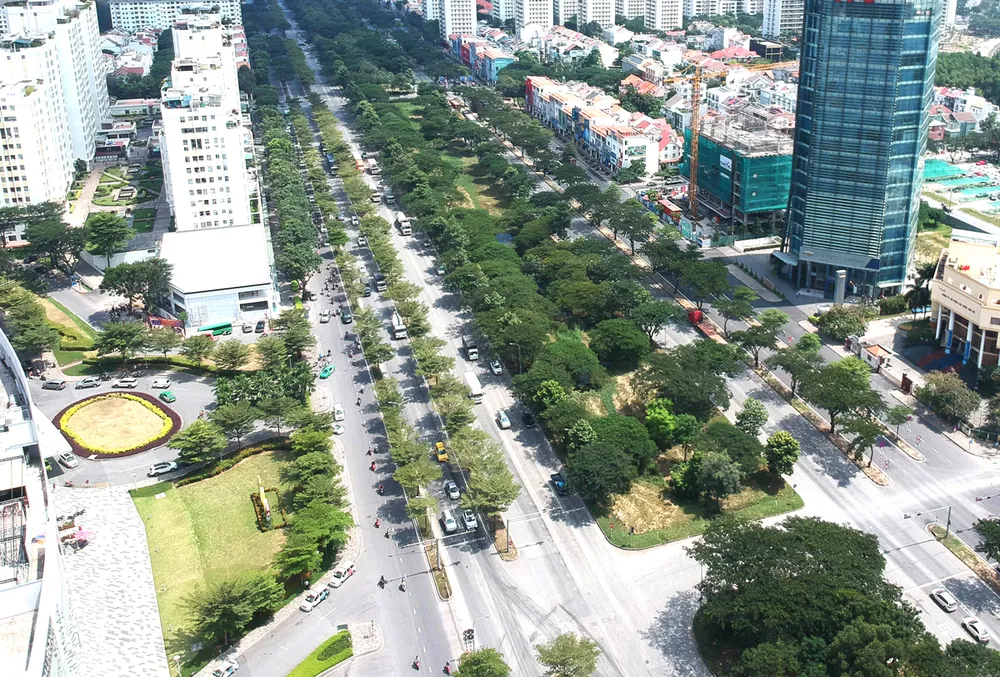 Nhiều vướng mắc trong quản lý cây xanh đô thị ảnh 1