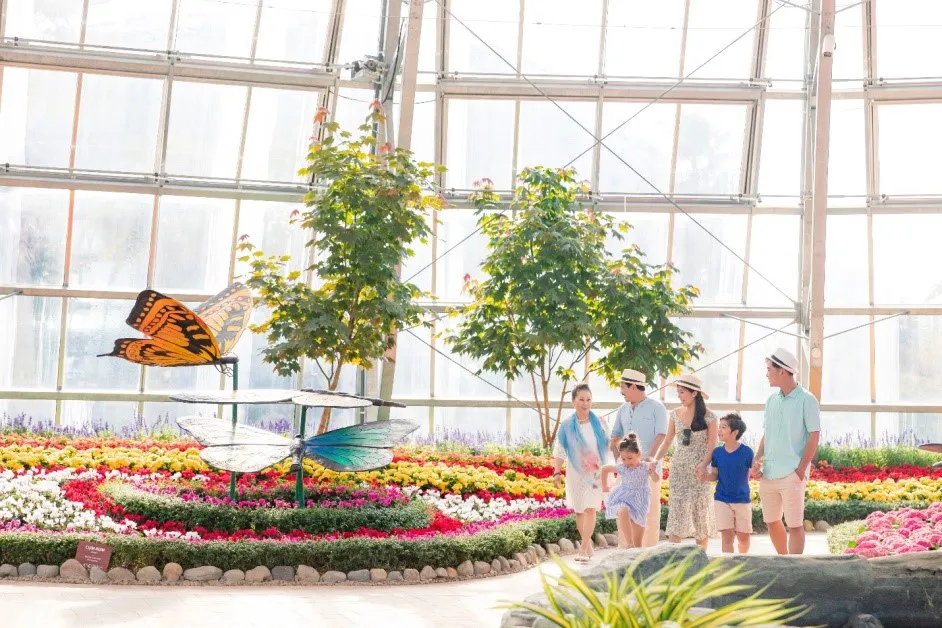 Người dân miền Trung, Tây Nam Bộ tận hưởng ưu đãi chưa từng có từ Vinpearl Land và Safari ảnh 5