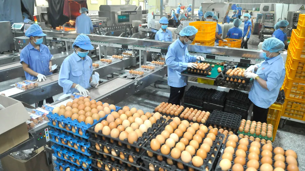 Tập trung lo hàng tết ảnh 1