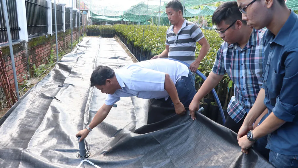 Người dân Bến Tre đối phó hạn mặn bằng túi trữ nước  ảnh 1