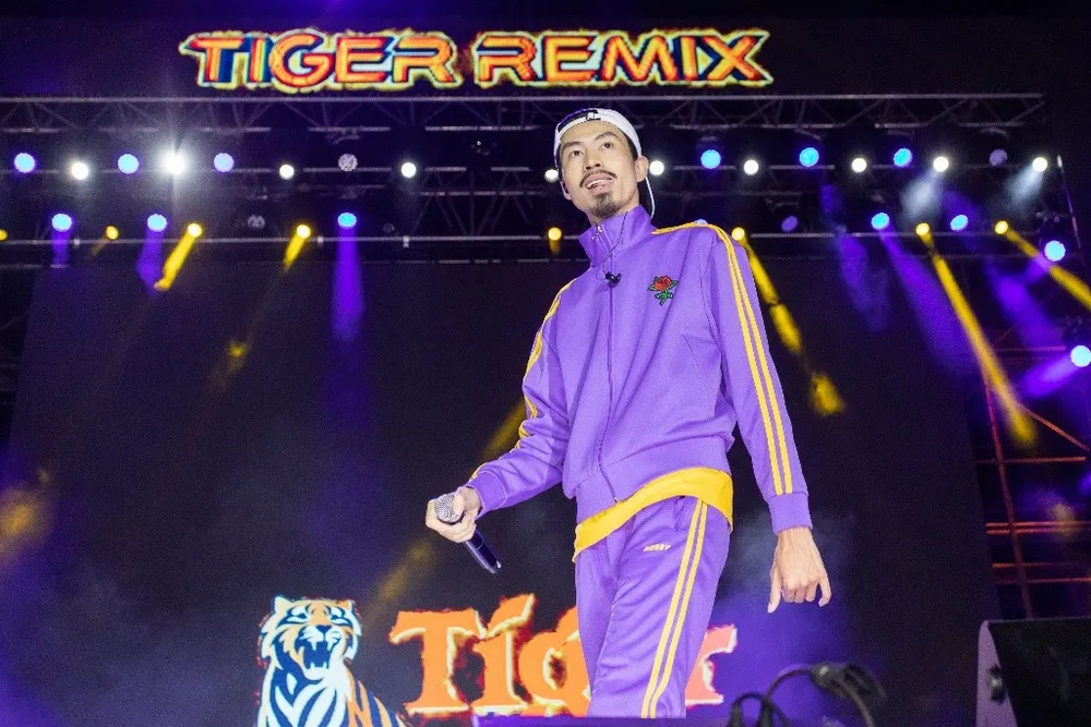 Mỹ Tâm, Đen Vâu, Hoàng Thùy Linh "đốt cháy" sân khấu Tiger Remix với toàn bản hit Remix   ảnh 1