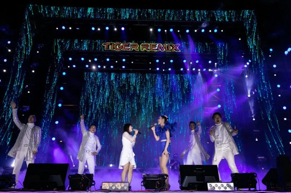 Mỹ Tâm, Đen Vâu, Hoàng Thùy Linh "đốt cháy" sân khấu Tiger Remix với toàn bản hit Remix   ảnh 5