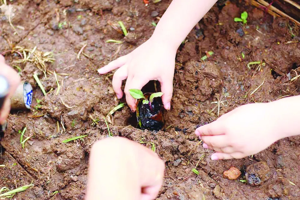Lớp học ở vườn