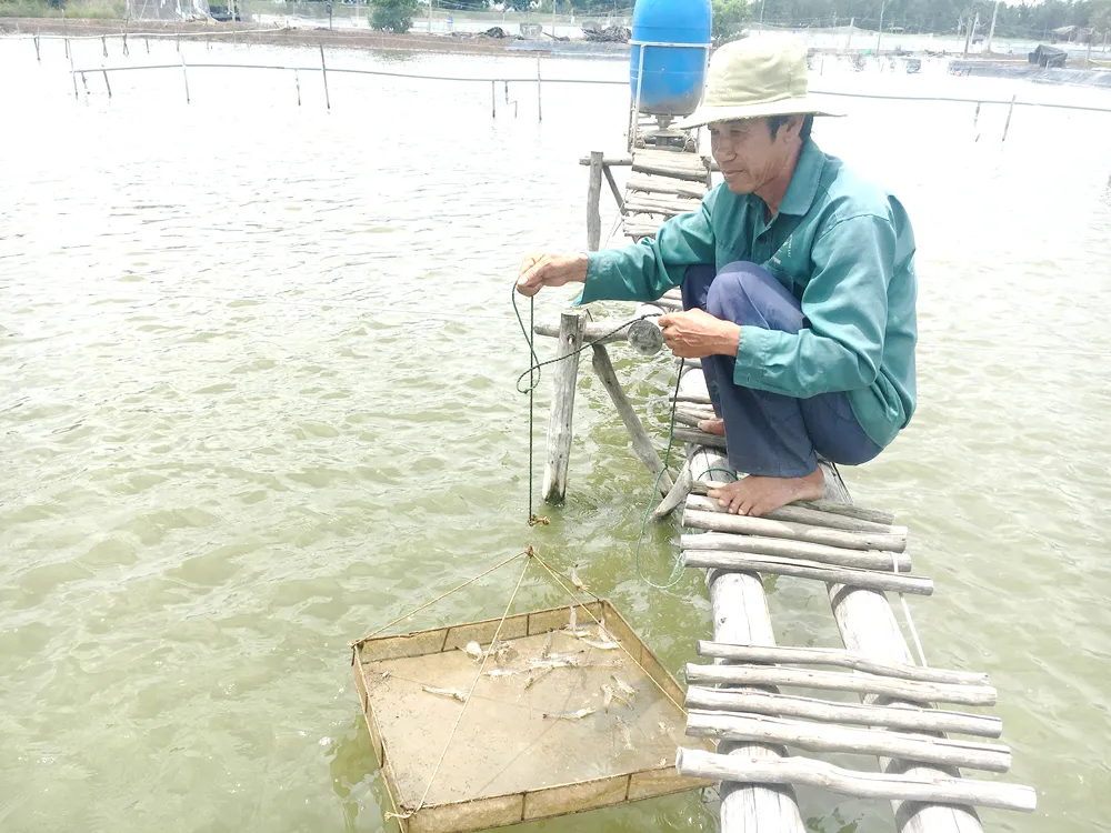 Đào tạo nghề lao động nông thôn thời 4.0 ảnh 1