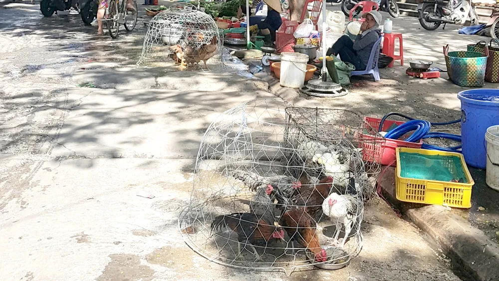 Coi thường sức khỏe cộng đồng ảnh 1