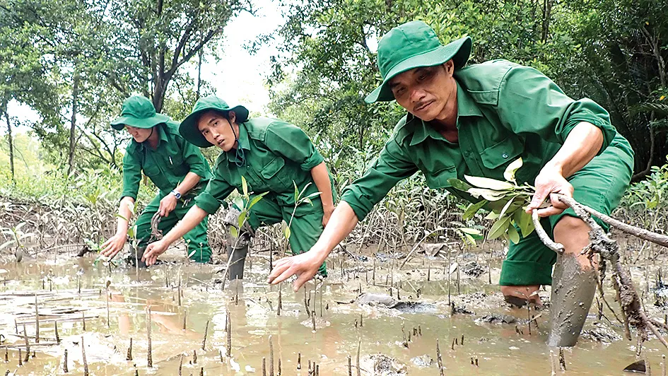 Xanh mãi rừng Cần Giờ! ảnh 6