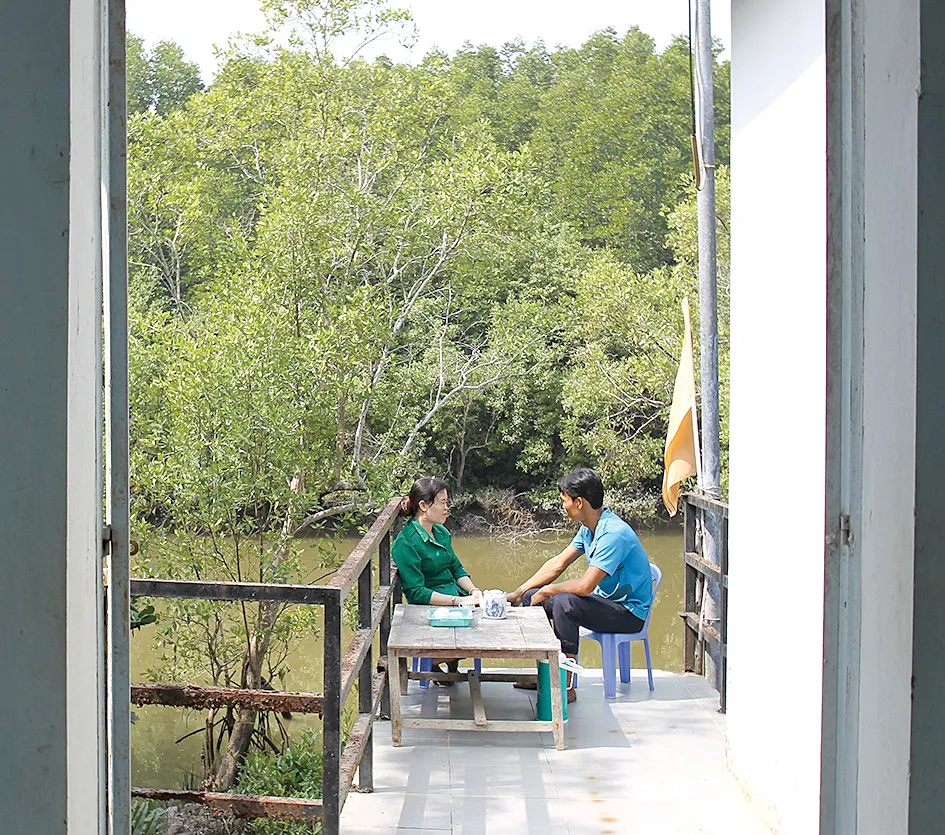 Xanh mãi rừng Cần Giờ! ảnh 3