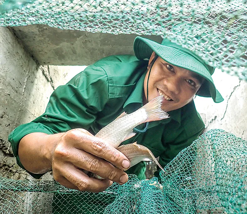 Xanh mãi rừng Cần Giờ! ảnh 5