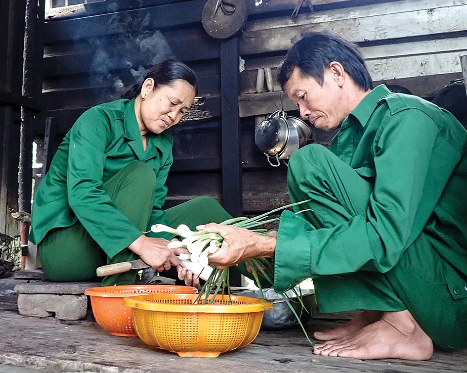 Xanh mãi rừng Cần Giờ! ảnh 4