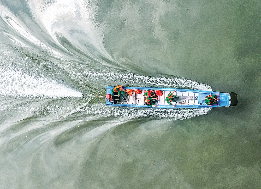 Xanh mãi rừng Cần Giờ! ảnh 2