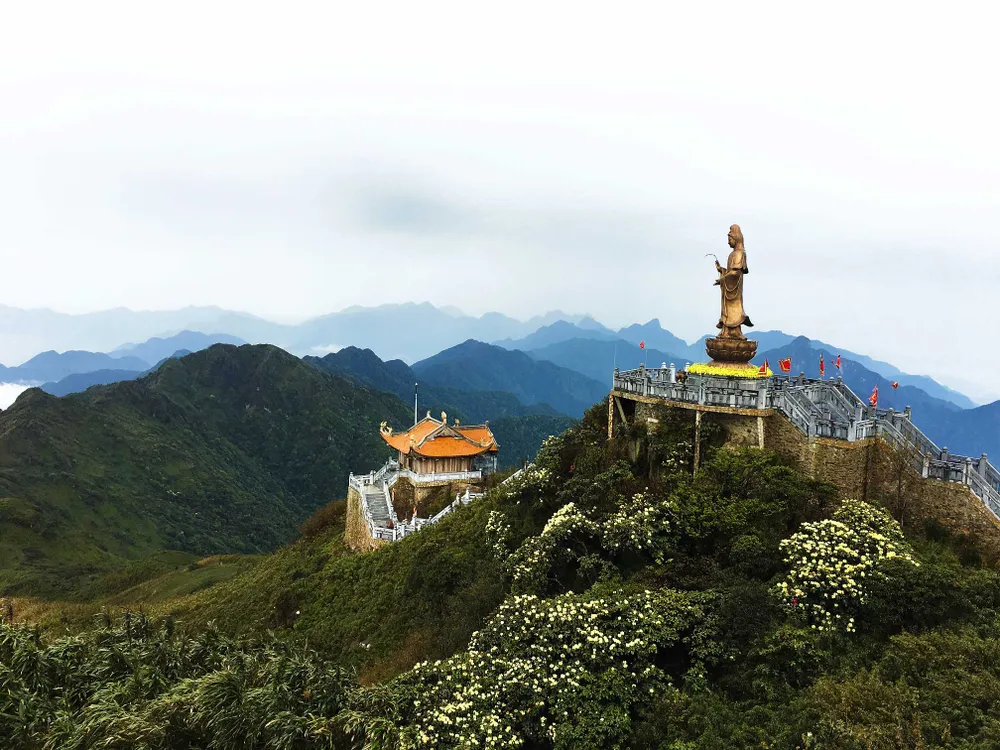 Giới trẻ ngỡ ngàng trước vẻ đẹp Fansipan mùa Xuân ảnh 8