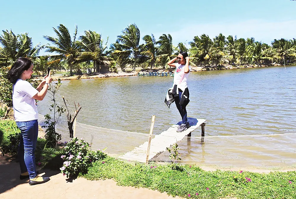 Ngọt ngào Cồn Chim! ảnh 4