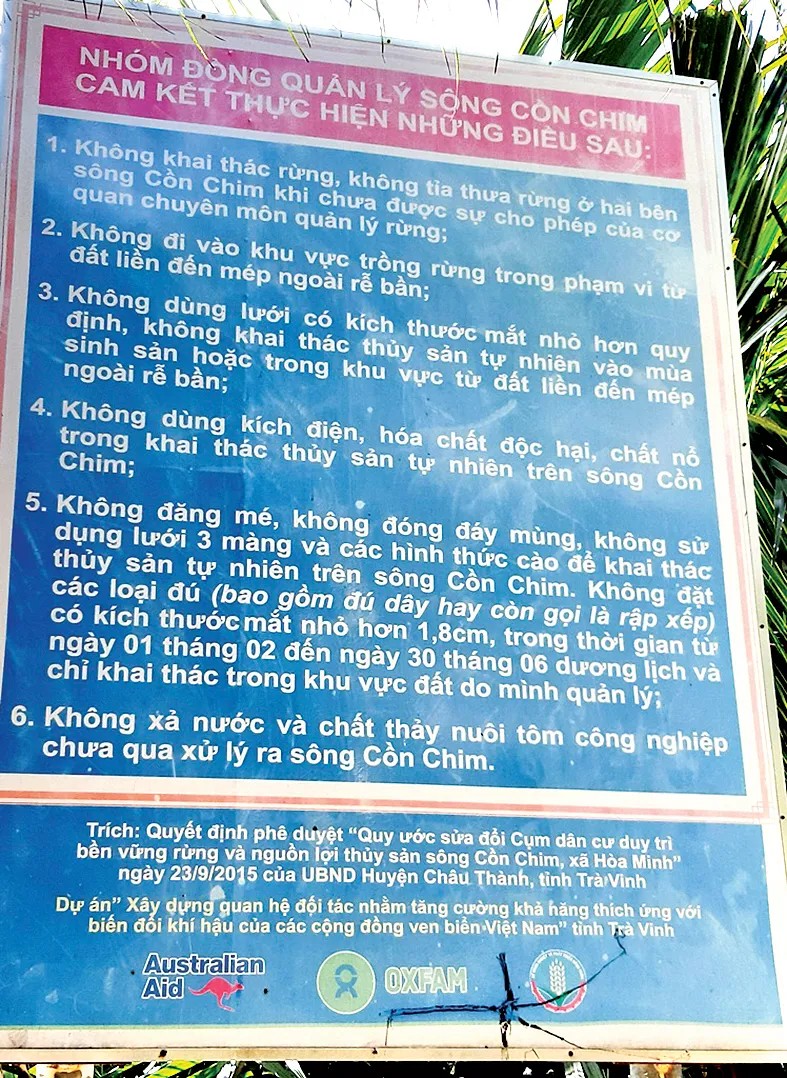 Ngọt ngào Cồn Chim! ảnh 2