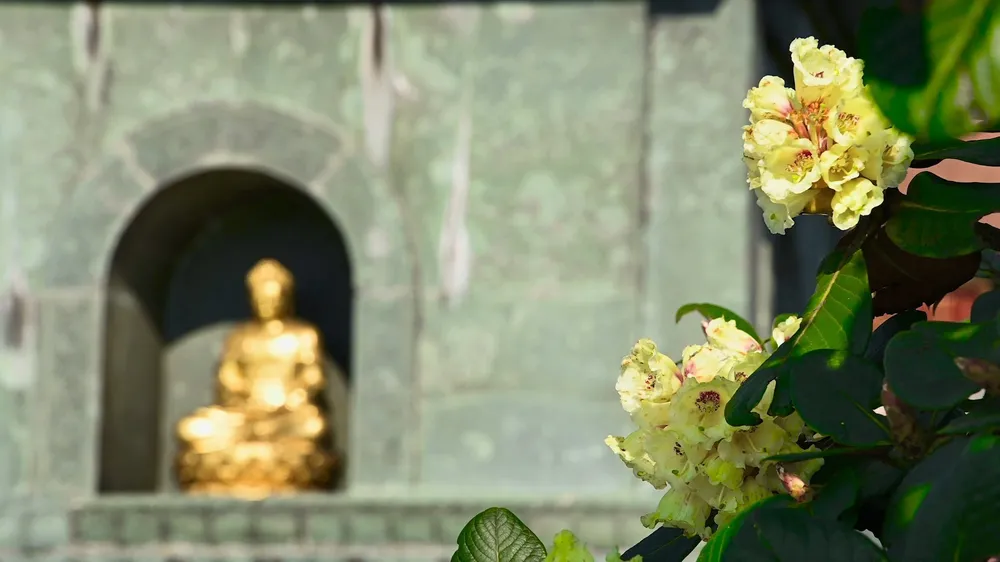 Gợi ý hành trình du lịch Sa Pa ngon bổ rẻ chỉ có trong dịp này ảnh 3