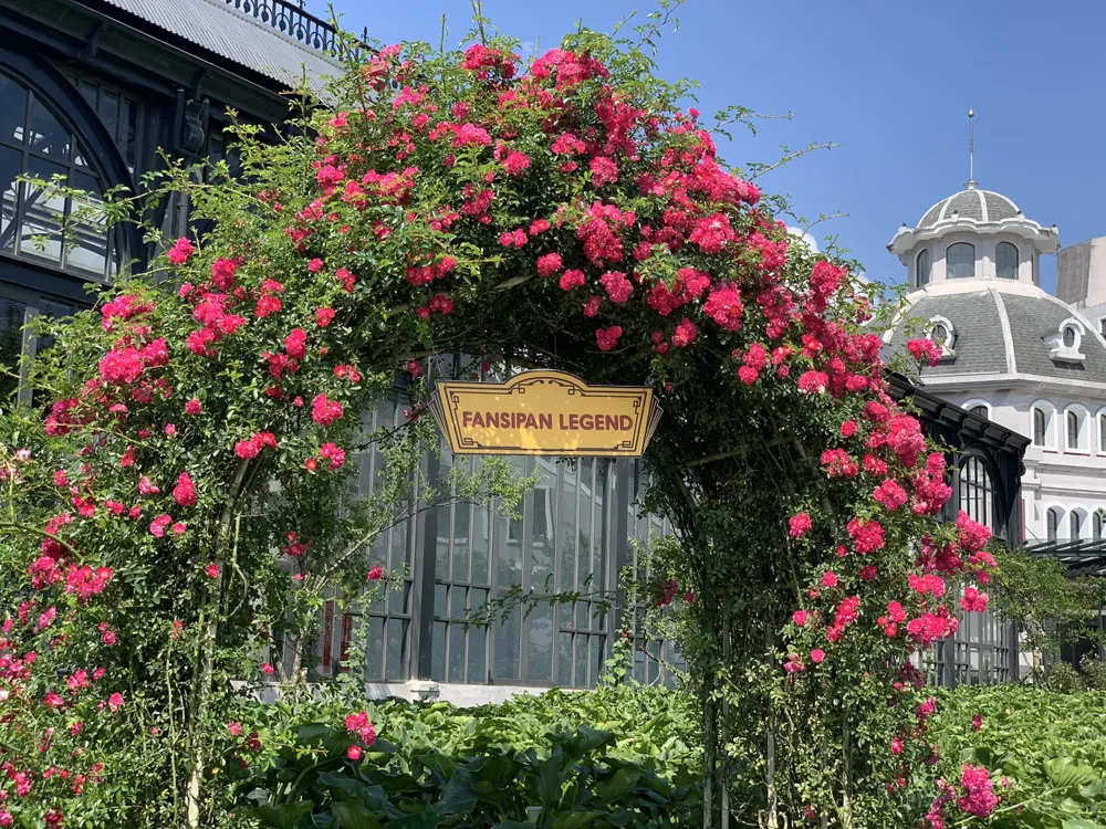 Gợi ý hành trình du lịch Sa Pa ngon bổ rẻ chỉ có trong dịp này ảnh 4