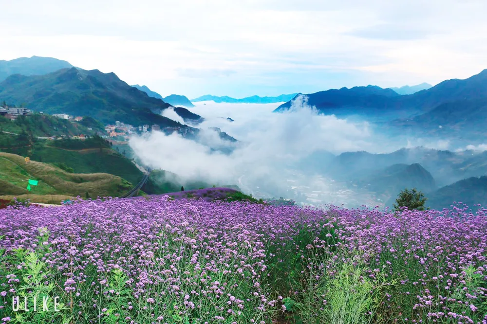 Gợi ý hành trình du lịch Sa Pa ngon bổ rẻ chỉ có trong dịp này ảnh 2