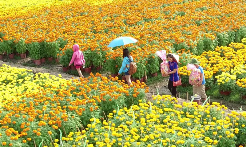 Làng văn hóa du lịch Sa Đéc ảnh 7