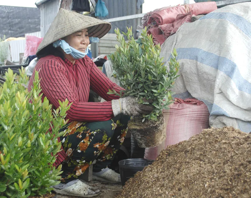 Làng văn hóa du lịch Sa Đéc ảnh 4